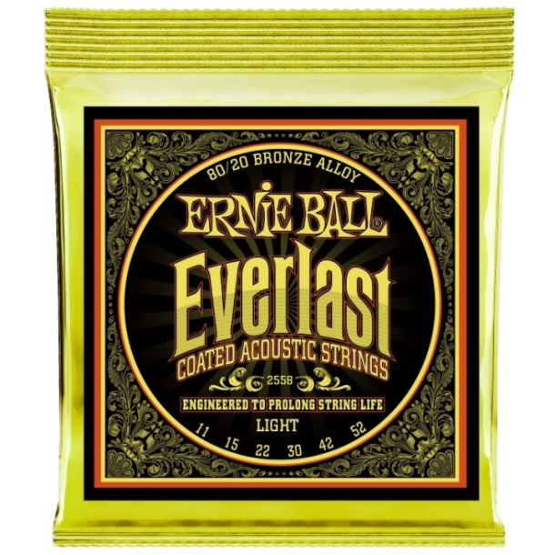 Ernie Ball 2558 Everlast 80/20 Bronze Light